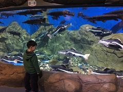 -梦幻海洋王国(吾悦广场张家港店)