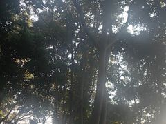 -真功夫(君逸世家店)