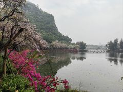 -星湖旅游景区七星岩