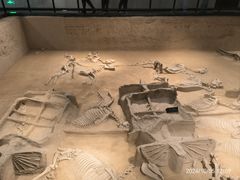 -洛阳周王城天子驾六博物馆