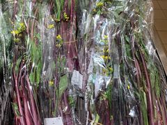 -T11生鲜超市(朝阳公园店)