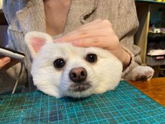 -零几体验diy皮具工作室(振业城店)