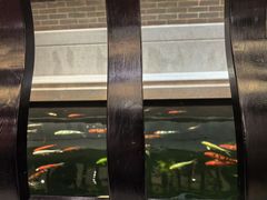 -龙悦湾酒家·八阵鱼生·渔人码头店