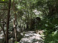 -少华山国家森林公园
