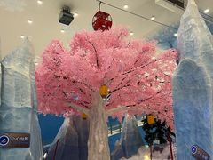 -长沙湘江欢乐雪域