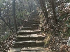 -杭州半山国家森林公园