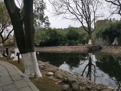 -八大山人梅湖景区