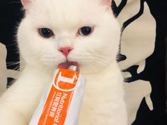 -小杨生煎(龙之梦购物中心店)