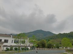 -梧桐山风景名胜区