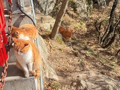 -终南山南五台景区