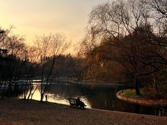 -上海共青森林公园