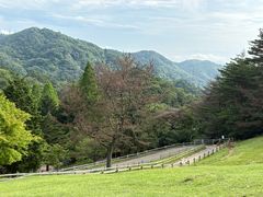 -神户市立六甲山牧场