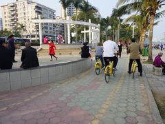 -观澳平台