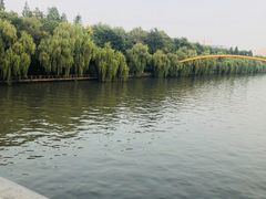 -运河游船(武林门码头)