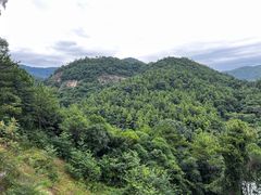 -广州白江湖森林公园