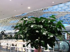 -江南厨子(万象天地店)