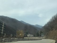 -牛背梁国家森林公园