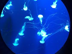 -成都浩海立方海洋公园