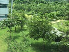 -中国移动南方基地