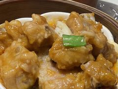 -点都德·毕德寮