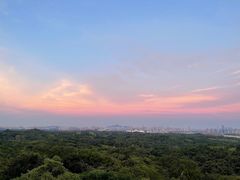 -南京老山国家森林公园