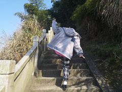 -长沙黑麋峰国家森林公园