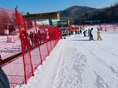 -亚布力新体委滑雪场
