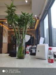 -V+SALON造型
