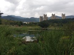-牛岗山公园
