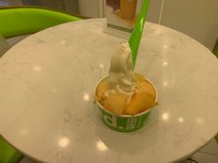 -Salud撒露欧洲冻酸奶(五道口购物中心店)