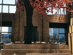 -大渔·观筵(三里屯太古里店)