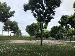 -仁华宠物医院(青羊店)