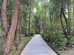 -东湖落雁景区