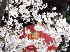 -龙华寺