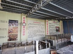 -巴山·烤全羊(高新总店)