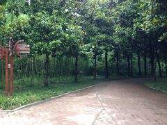 -上海怡沁园度假酒店