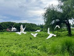-良渚古城遗址公园