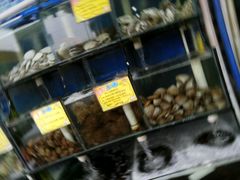 -蚝专家(北滘店)
