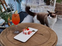 -共舞时光猫咖·狗咖(新街口店)