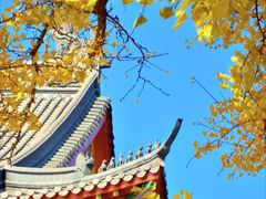 -棋盘山风景区