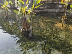 -鹅公村·国家非遗传承(荔湾店)