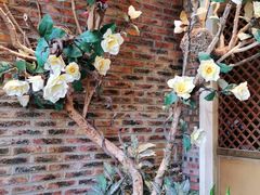 -湘邻呷铺·田园家宴(汉基广场店)