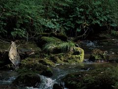 -黑龙江扎龙生态旅游区