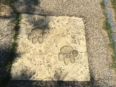 石子路-鉴湖国家城市湿地公园