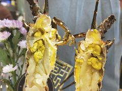 -喜聚薈·花膠雞海鮮火鍋(越秀店)