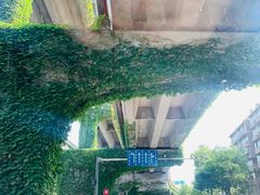 -成都杜甫草堂博物馆