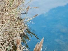 -眉山湿地公园(东坡区)