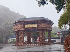 -南山植物园