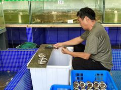 -丫丫蟹庄·苏式园林农家乐·阳澄湖大闸蟹(阳澄湖莲花岛店)