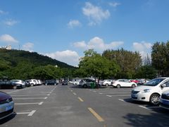 -上海佘山国家森林公园东门地面停车场